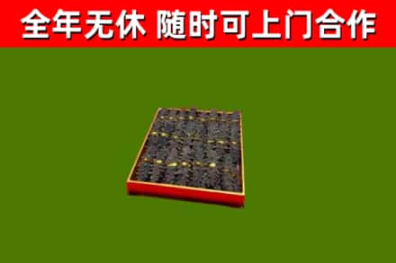 民丰县回收海参
